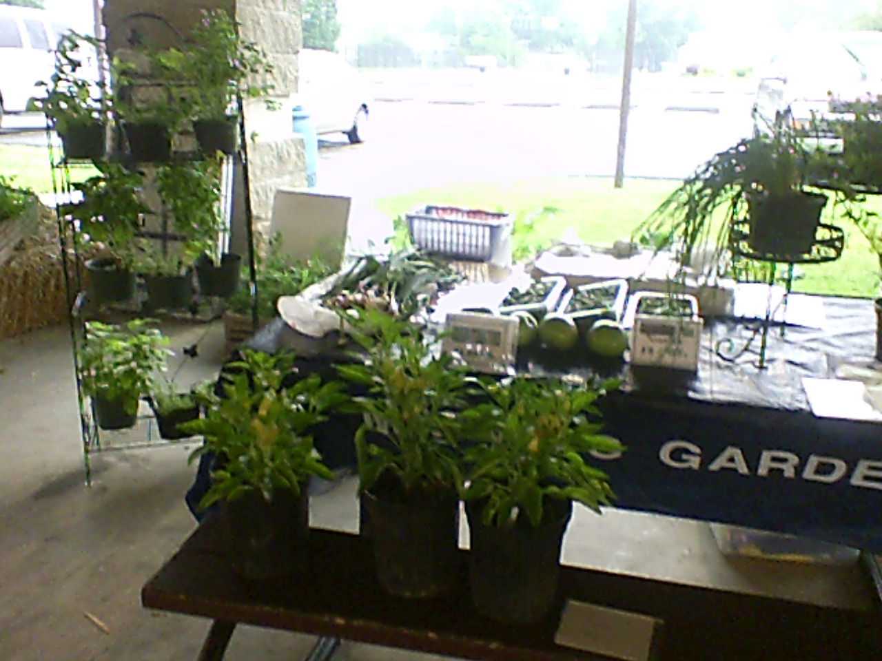 Farmers Market 010.jpg