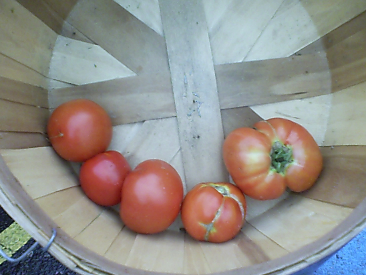 Farmers Market 013.jpg