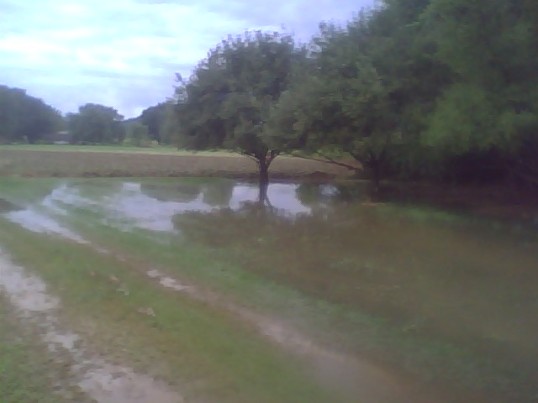 Flooding #1.jpg