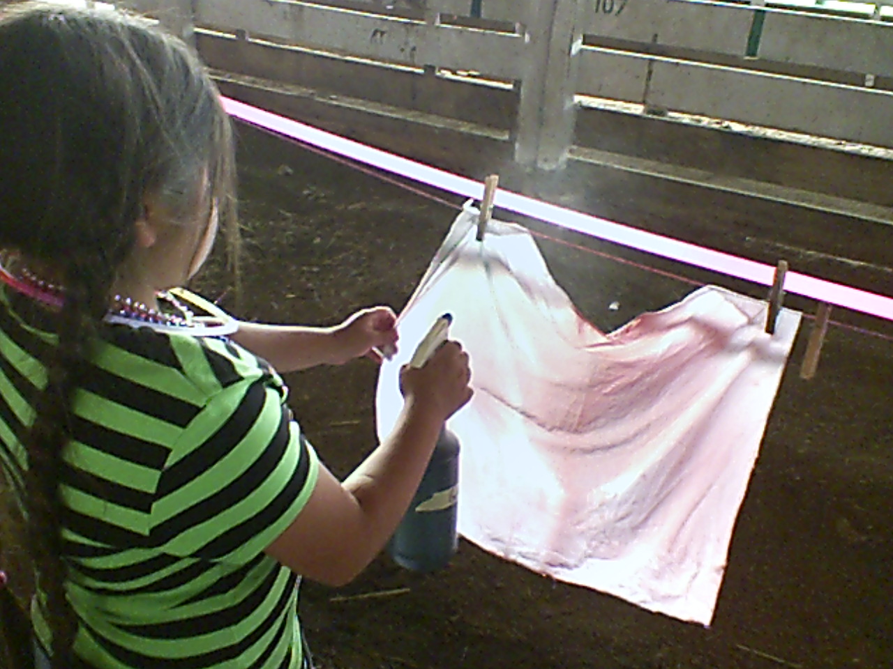 Safe Night 2009 018.jpg