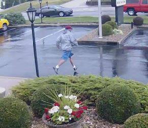 attempted robber1.jpg