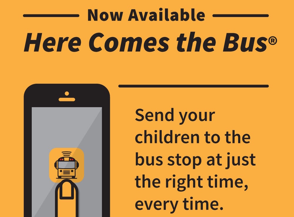 here comes the bus.jpg