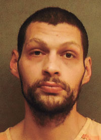 DAvid Horsefield.jpg