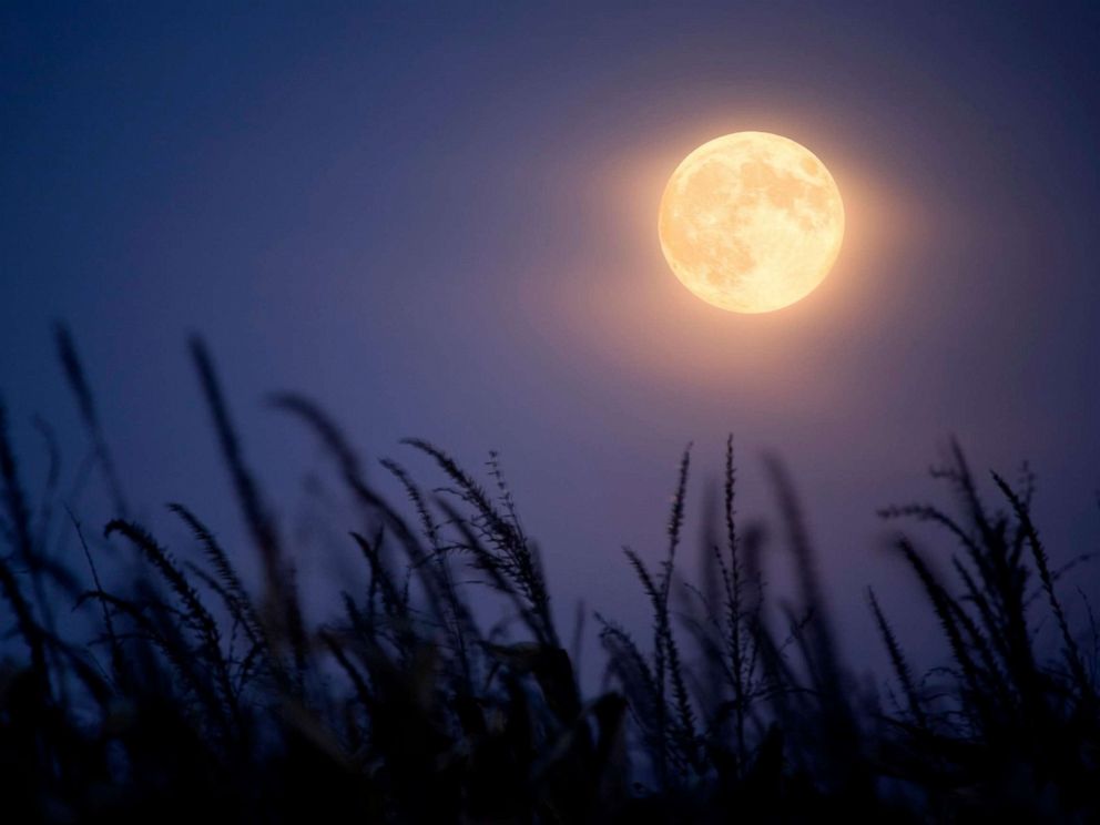 Rare Harvest Moon Will Appear on Friday, Sept. 13 WBIW