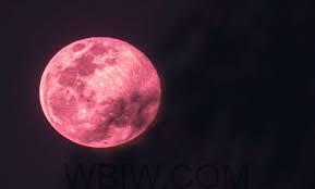Celestial events in June include a strawberry moon, alignment of