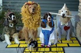 Woofs and Whiskers Pet Costume Contest, 705 Hale Rd, Shelbyville, IN  46176-2376, United States, October 8 2022 | AllEvents.in