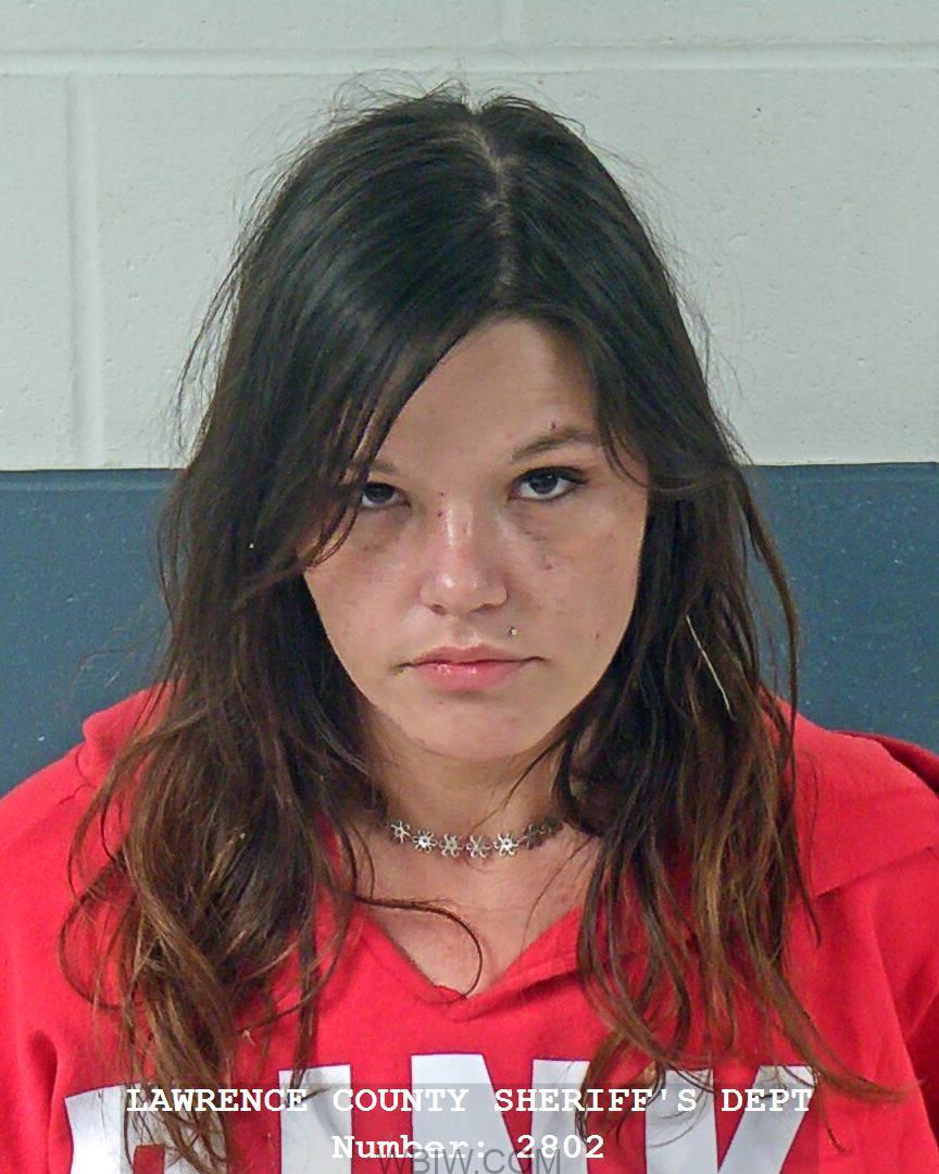 One detained after police pursuit, police searching for Brady Sullivan ...