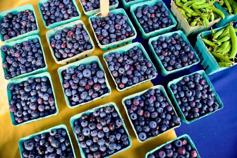 Abundance of berries at the Bloomington Community Farmers' Market WBIW