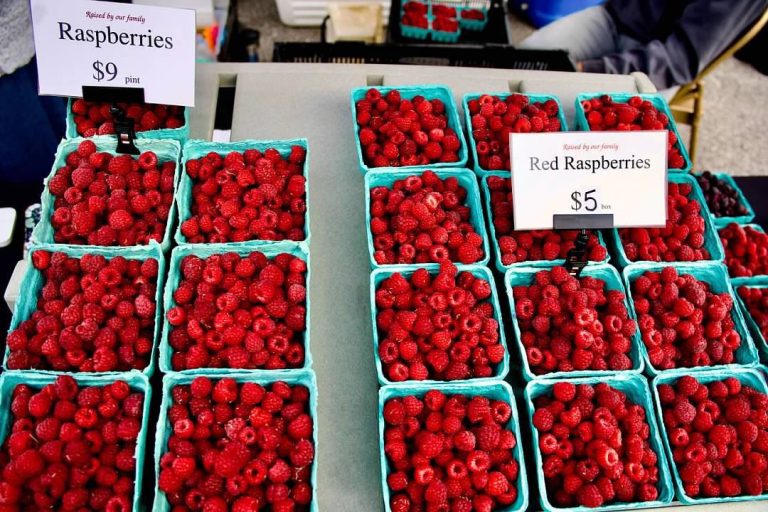 Abundance of berries at the Bloomington Community Farmers' Market WBIW