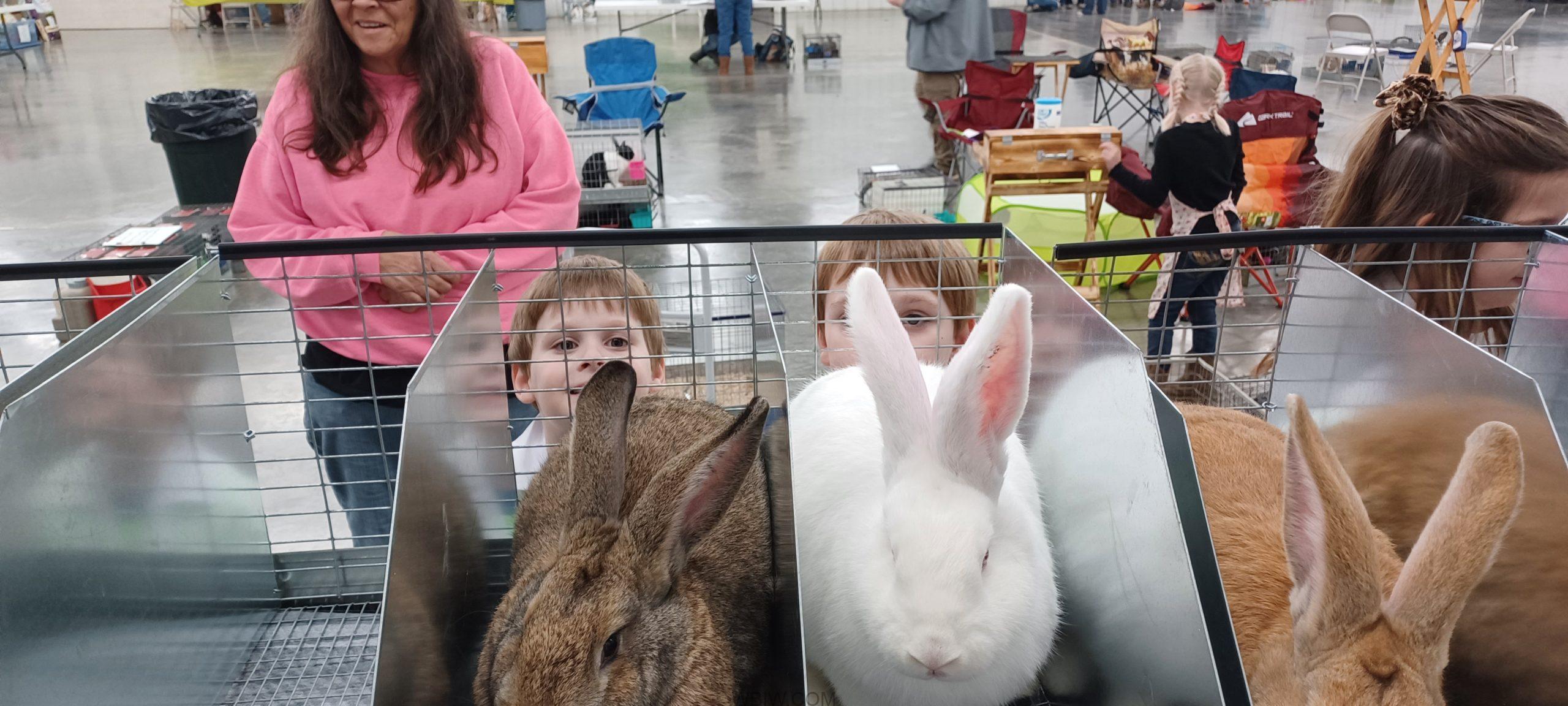 Lawrence County 4-H Rabbit Club to host 13th Annual Open Show March 7-8 ...