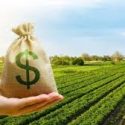 U.S. farmland values continue to rise, but growth is slowing