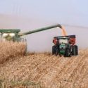 Free Agricultural Tax webinar to tackle farm bankruptcy and financial options