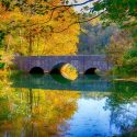 Spring Mill State Park packs August calendar with hiking, wildlife and family programs