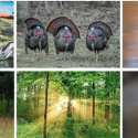 DNR unveils winning designs for 2026 durable license cards
