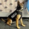Indiana State Police K9 Draco has received a donation of body armor