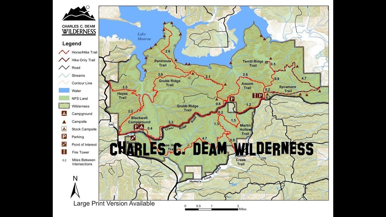 Indiana Forest Alliance releases report showing the economic value of expanding Charles Deam Wilderness area in Hoosier National Forest