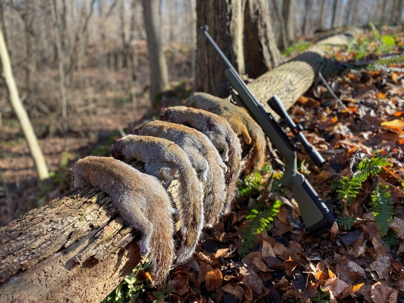 Indiana DNR hosts “Intro to Squirrel Hunting” workshop at Sugar Ridge
