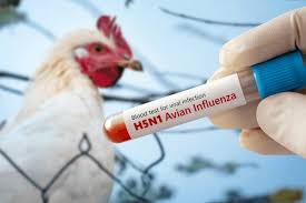 Avian Influenza confirmed in Daviess County; Virus spreads to multiple Indiana Counties