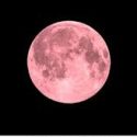 Not an April Fools’ Joke: “Pink Moon” rises this Wednesday