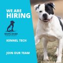 White River Humane Society hiring part-time kennel technician