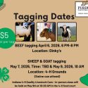 Daviess County 4-H announces livestock tagging dates for 2026