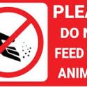 Loogootee Police issue reminder: Feeding animals on city property prohibited