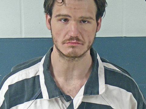 Bedford man accused of killing family dog, charged with felony animal cruelty