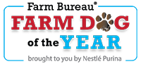 American Farm Bureau launches search for 2027 “Farm Dog of the Year”