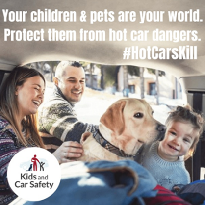 Human memory is not enough: Safety groups demand tech mandates to end hot car deaths