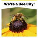 BioBlitz, Bee City USA events mark National Pollinator Week
