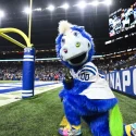 Colts’ ‘Blue’ named NFL Mascot of the Year for fifth time