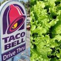 Taco Bell lettuce linked to cyclospora outbreak affecting thousands in 5 states, including Indiana
