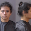 Two dogs die after being left in hot car outside Cicero restaurant; Indianapolis woman arrested