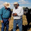USDA to host free two-day agriculture webinar series for Native American Veterans and Transitioning Service Members