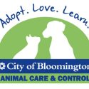 Bloomington Animal Shelter continues matching fundraiser to help more local animals