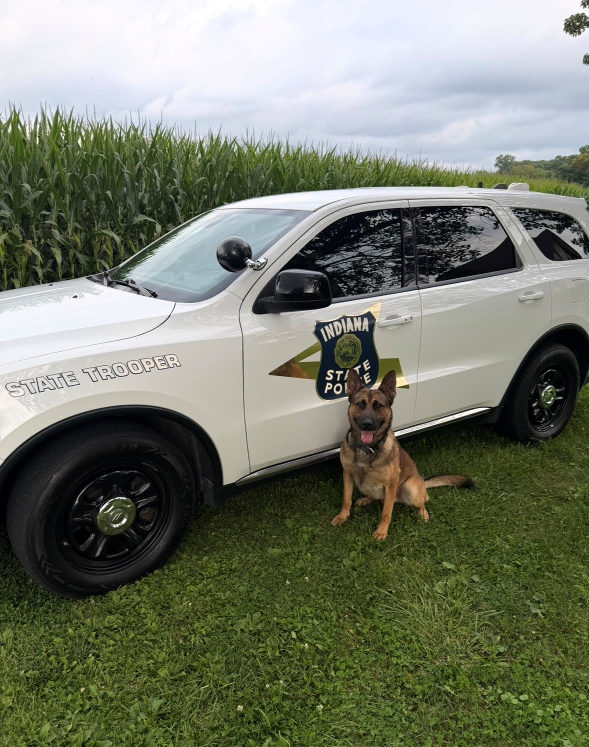 Indiana State Police K9 Rich to get donation of body armor