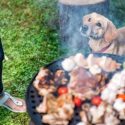 Pet experts issue warning over hazardous barbecue foods this grilling season