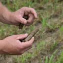 Soil sampling program available for Hoosier farmers