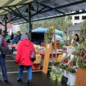 City of Bloomington opens volunteer registration for post-Thanksgiving Holiday Market