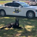 Indiana State Police announce passing of retired K9 Boomer