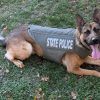 Indiana State Police K9 Rich receives custom body armor donation
