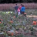 Superior Steam 4-H Club kicks off fall season at Pinhook Craft Barn and RAD Design